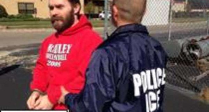 Crime Statistics on Felonies and Deportation